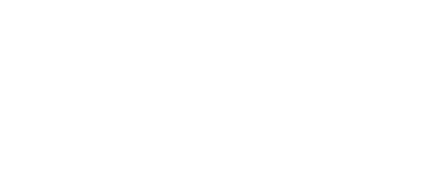 Vibrant Technology